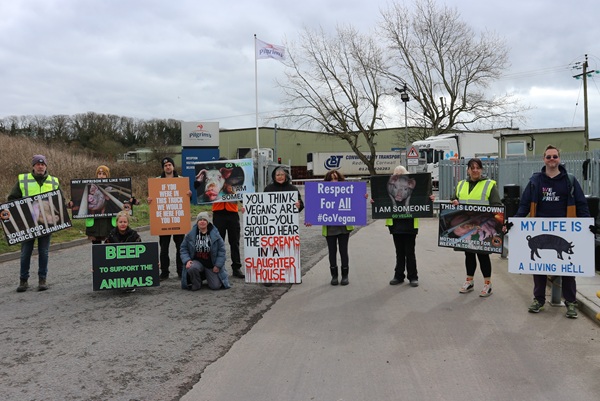 Animal rights campaigners protest outside the Pilgrim's Europe slaughterhouse at Westerleigh earlier this year.